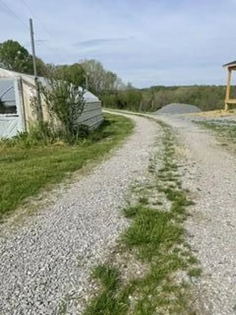 1874 Ogden Ridge Road Mount Olivet KY 41064