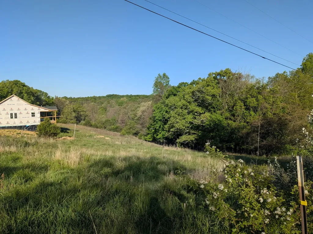 1874 Ogden Ridge Road Mount Olivet KY 41064