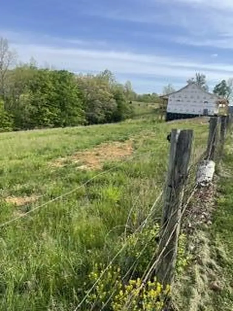 1874 Ogden Ridge Road Mount Olivet KY 41064
