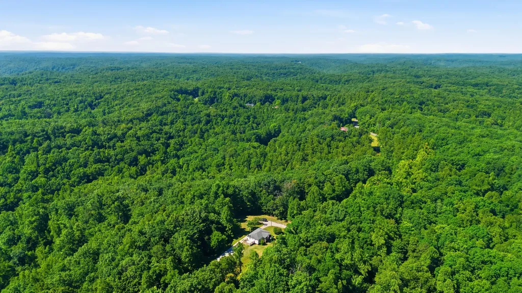 2255 S Tree Tower Road Sand Gap KY 40481