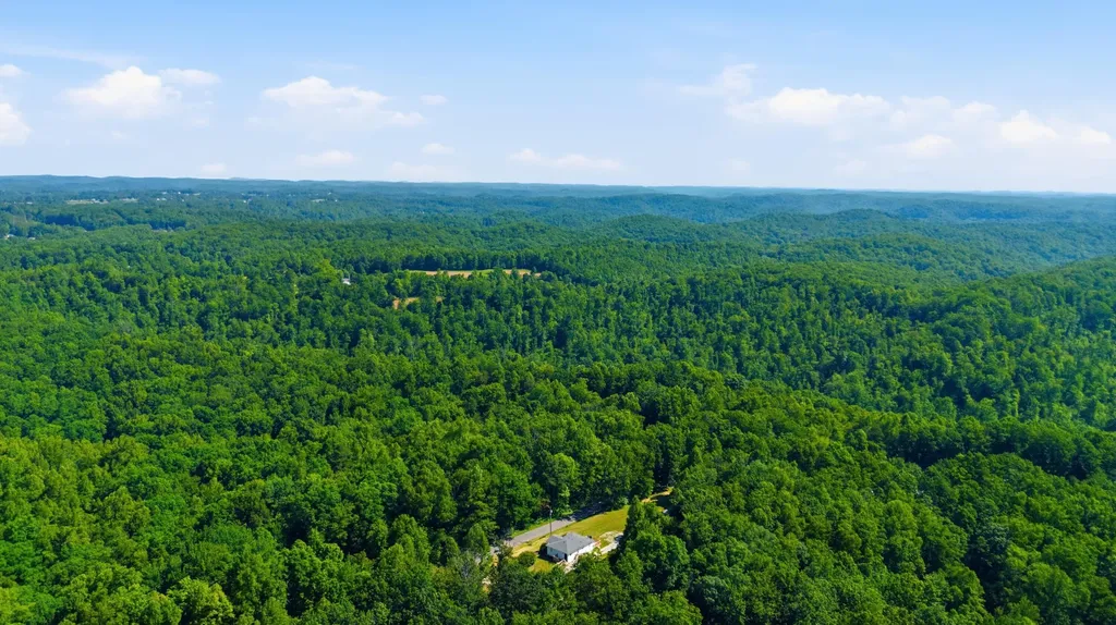 2255 S Tree Tower Road Sand Gap KY 40481