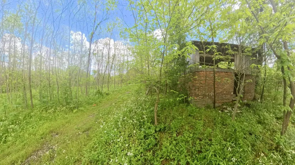 192A Fletcher Lane Crab Orchard KY 40419