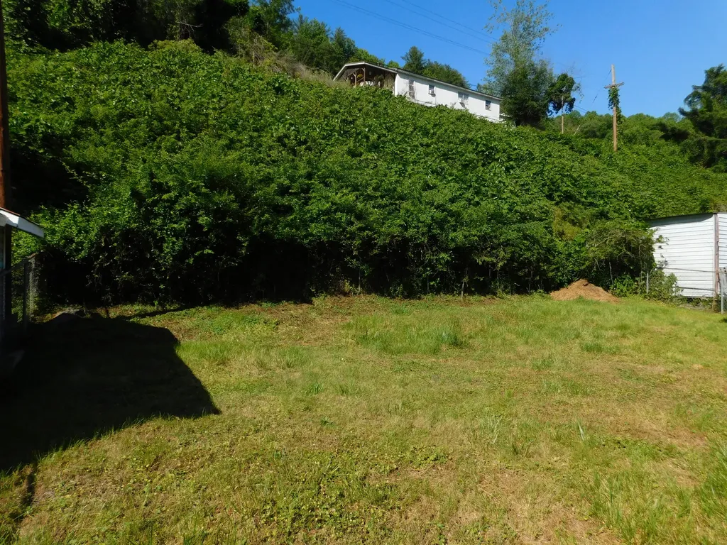 53 Redbud Court Evarts KY 40828