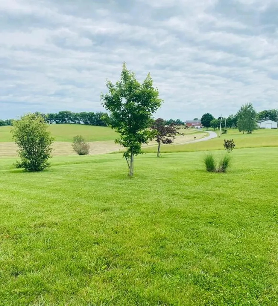 4363 Brush Grove Road Willisburg KY 40078