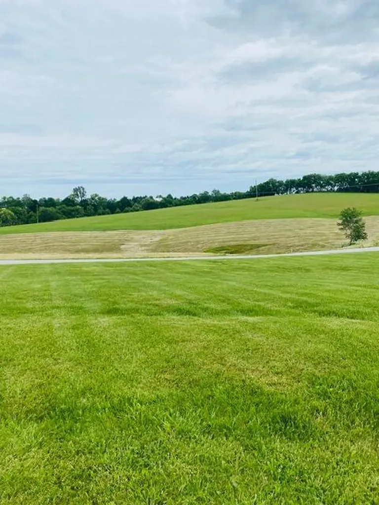 4363 Brush Grove Road Willisburg KY 40078