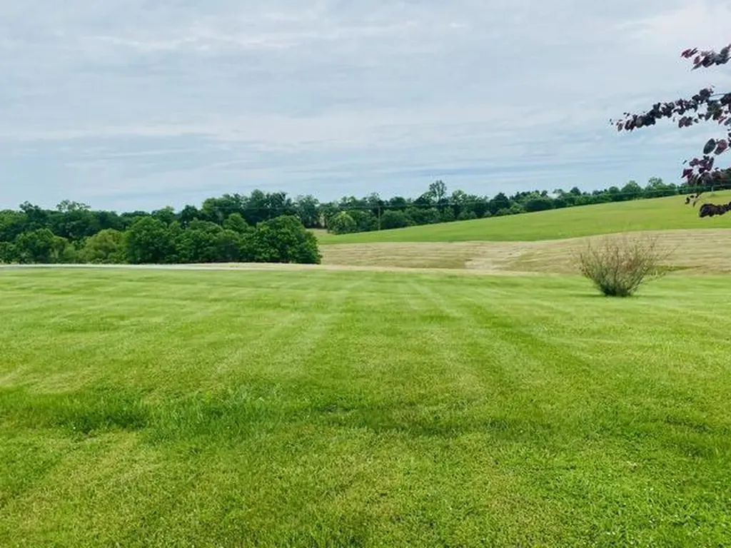 4363 Brush Grove Road Willisburg KY 40078