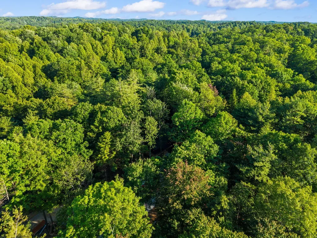 24 Joyful Springs Beattyville KY 41311
