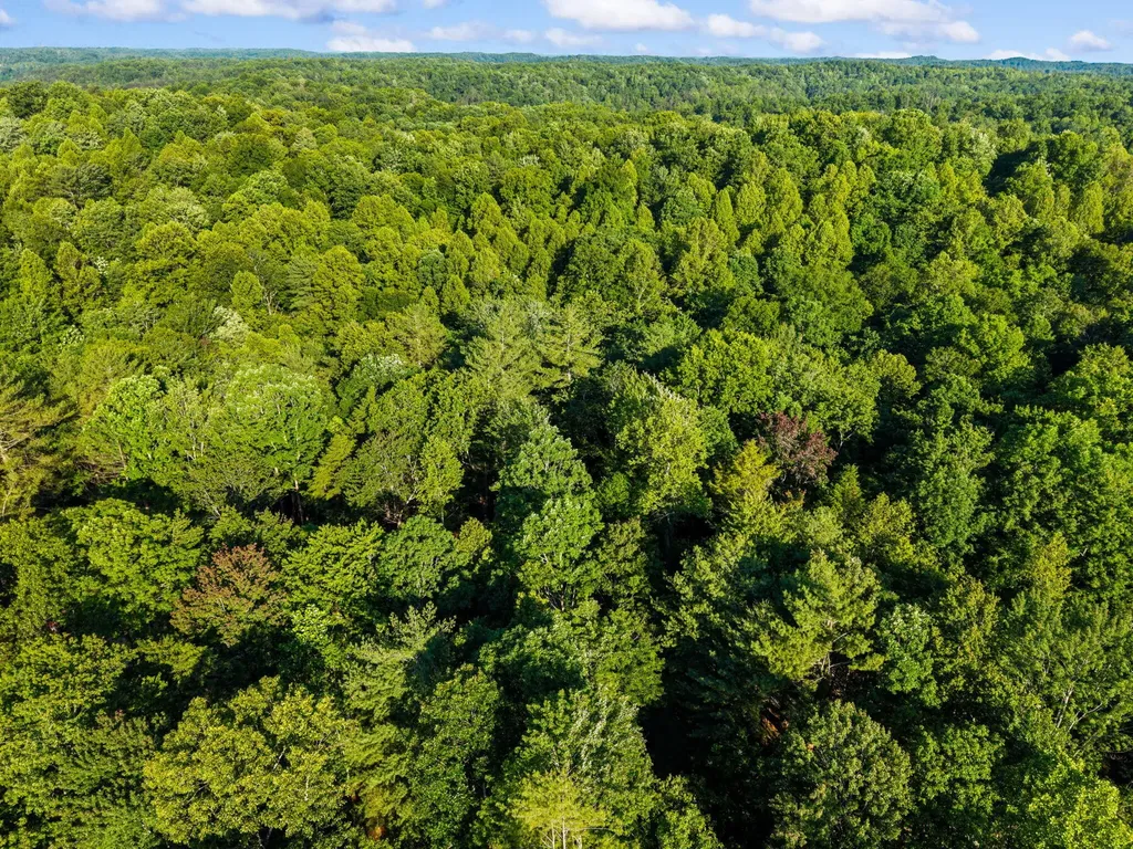 24 Joyful Springs Beattyville KY 41311