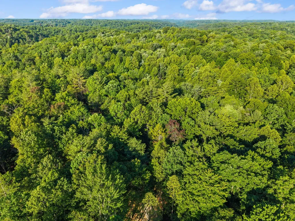 24 Joyful Springs Beattyville KY 41311
