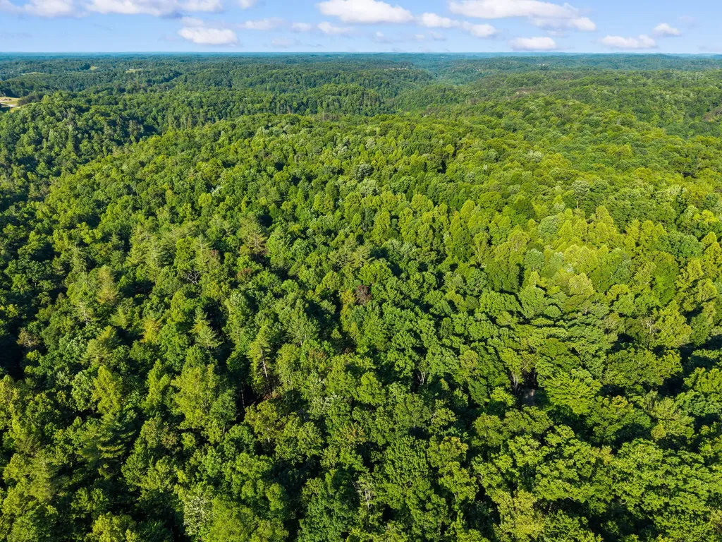 24 Joyful Springs Beattyville KY 41311