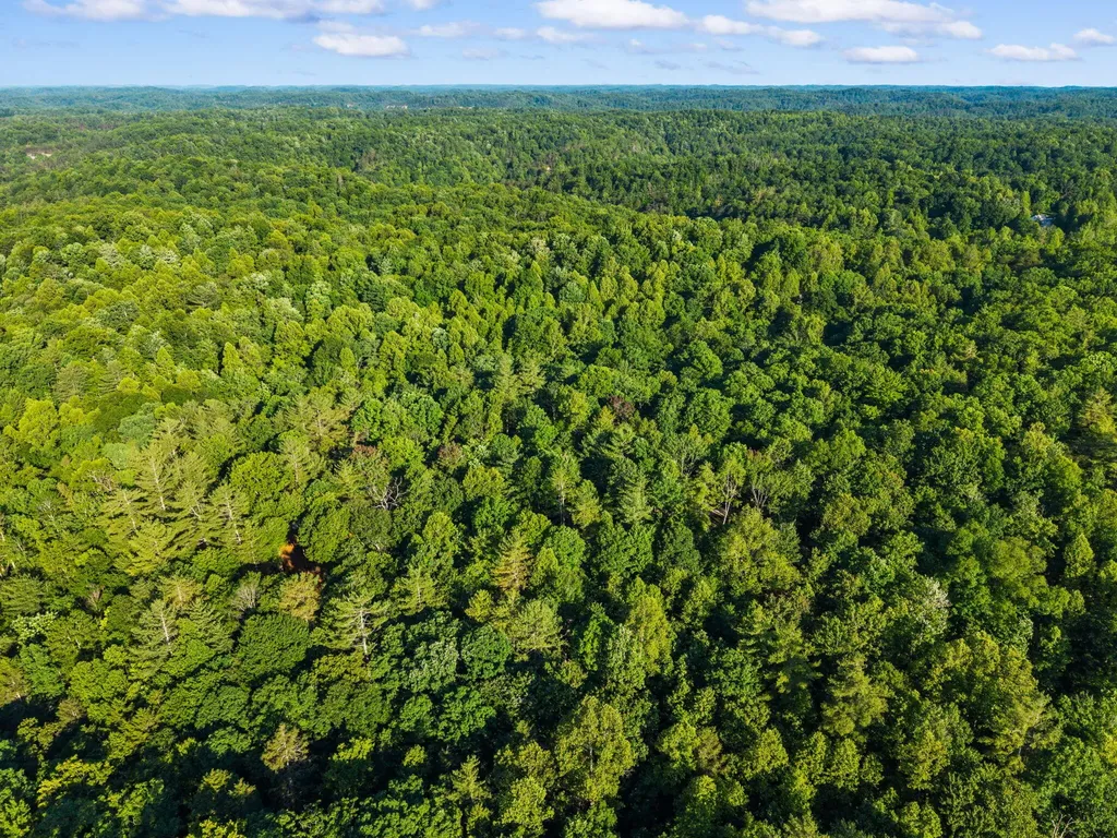 24 Joyful Springs Beattyville KY 41311