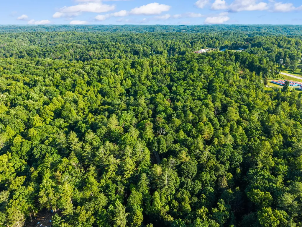 24 Joyful Springs Beattyville KY 41311