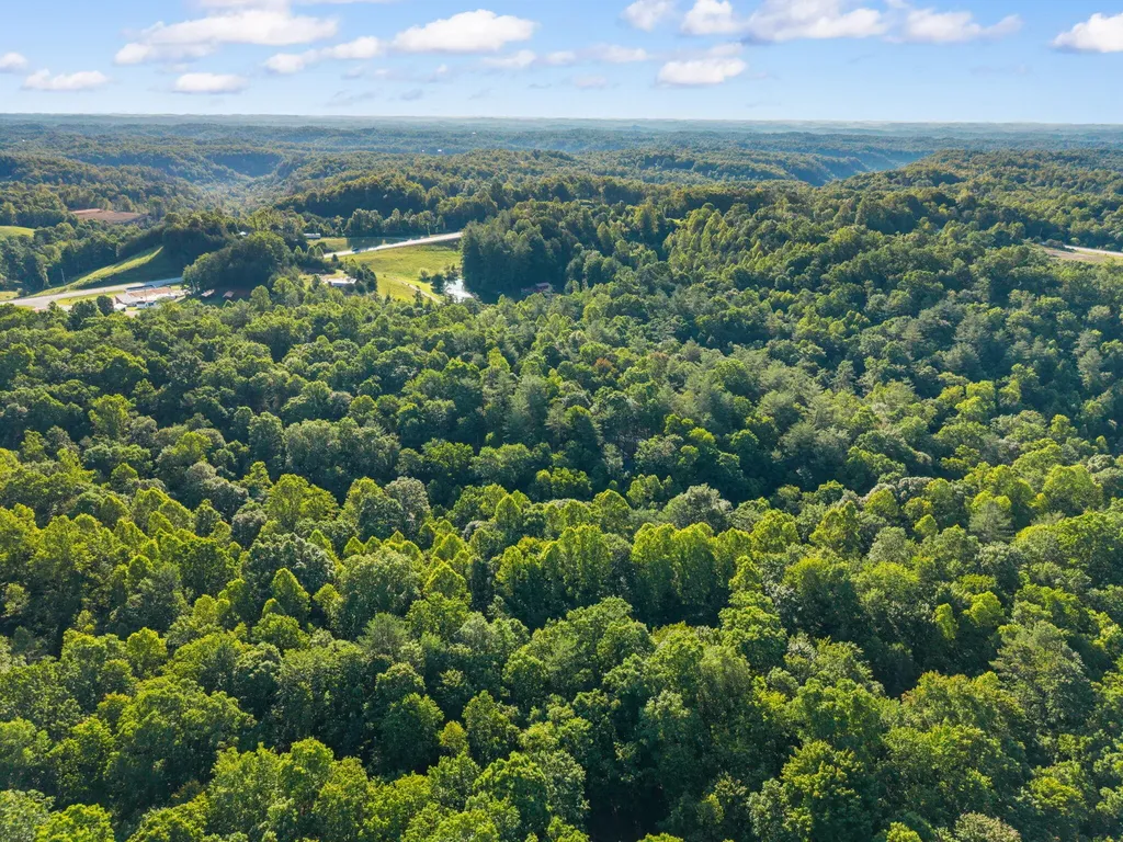 24 Joyful Springs Beattyville KY 41311