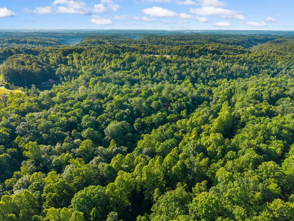 24 Joyful Springs Beattyville KY 41311