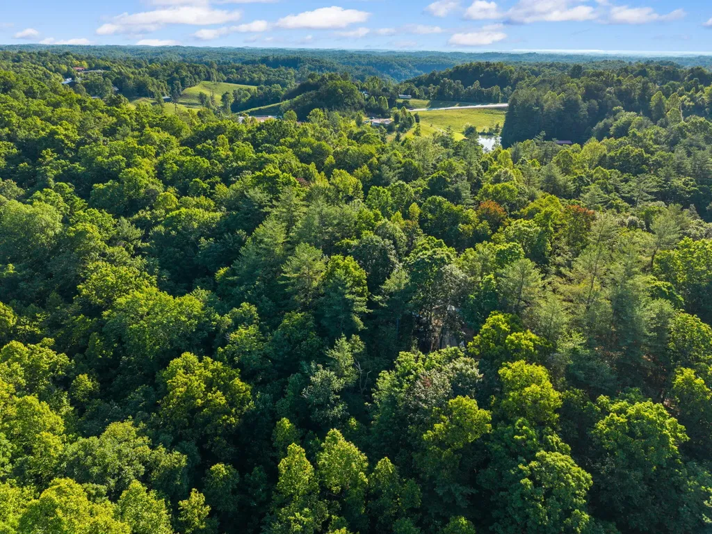 24 Joyful Springs Beattyville KY 41311