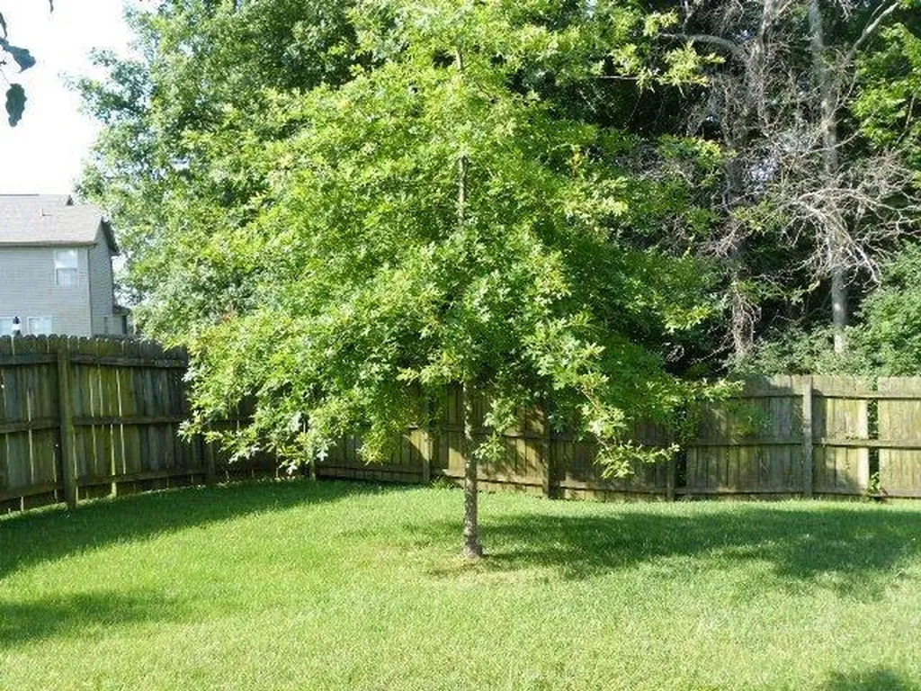 4752 Windstar Way Lexington KY 40515
