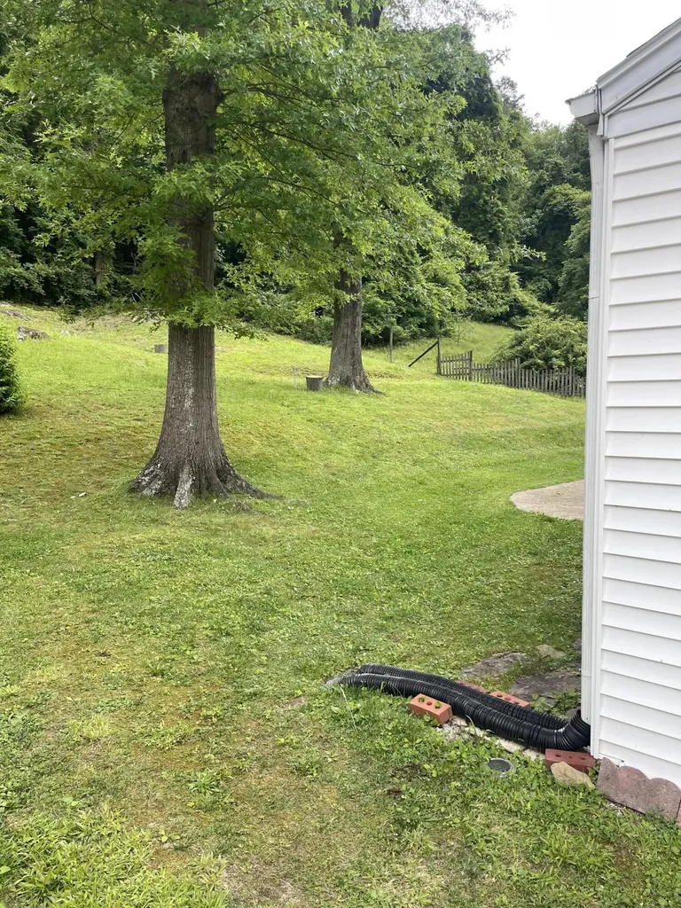 485 N Wilson Avenue Morehead KY 40351