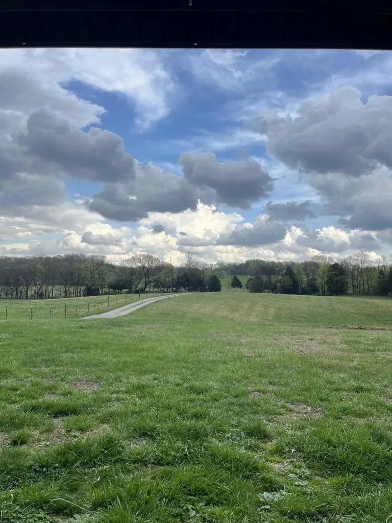 1717 Halltown Road Canmer KY 42722
