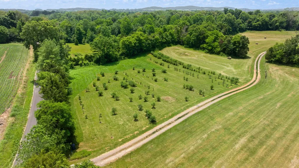 1717 Halltown Road Canmer KY 42722