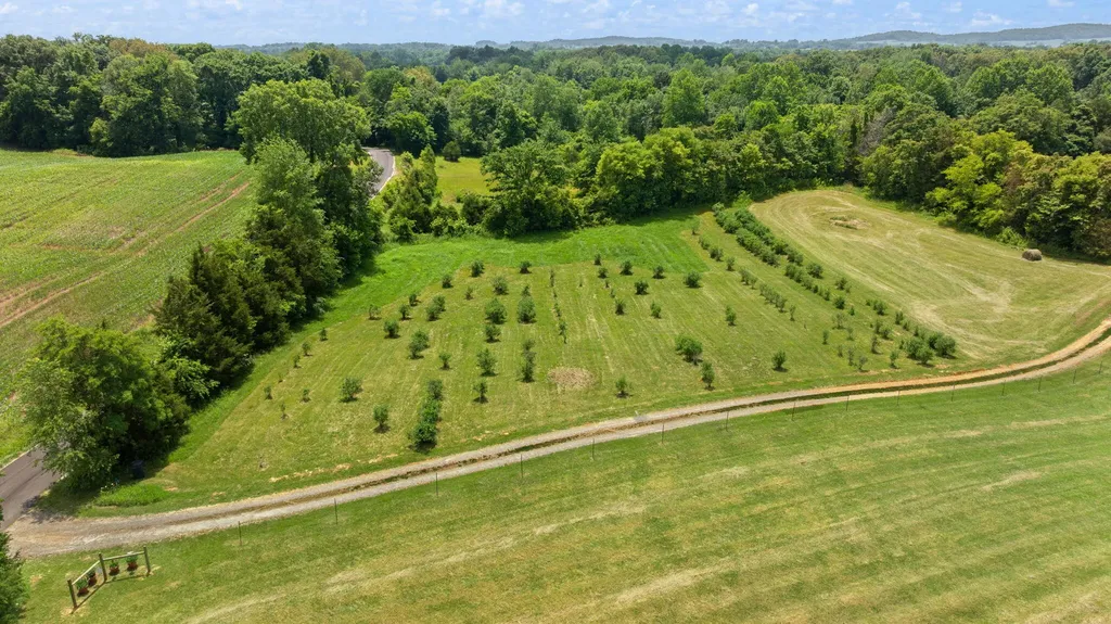 1717 Halltown Road Canmer KY 42722