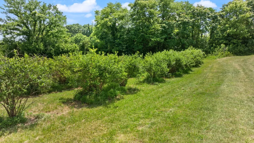 1717 Halltown Road Canmer KY 42722