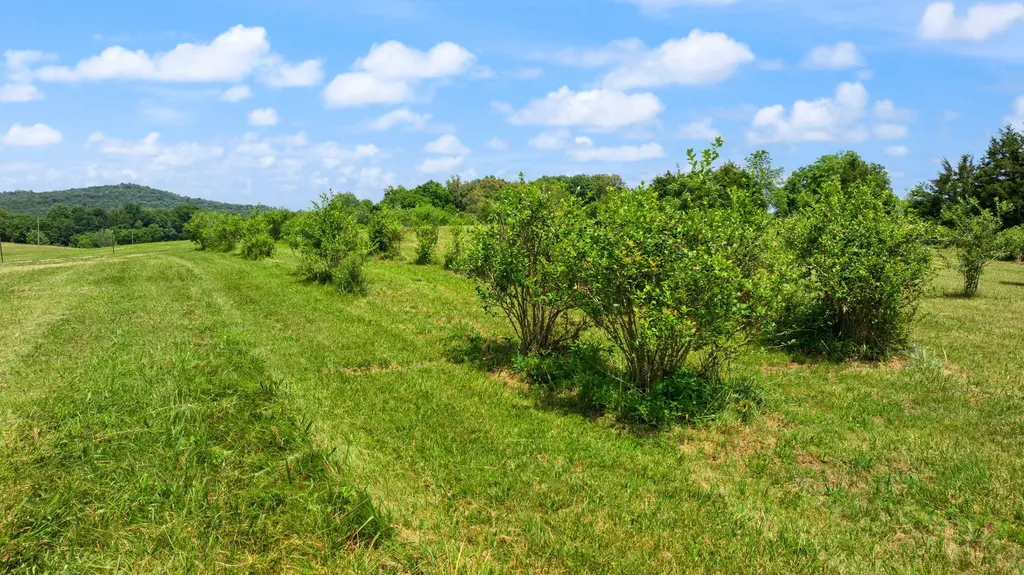 1717 Halltown Road Canmer KY 42722