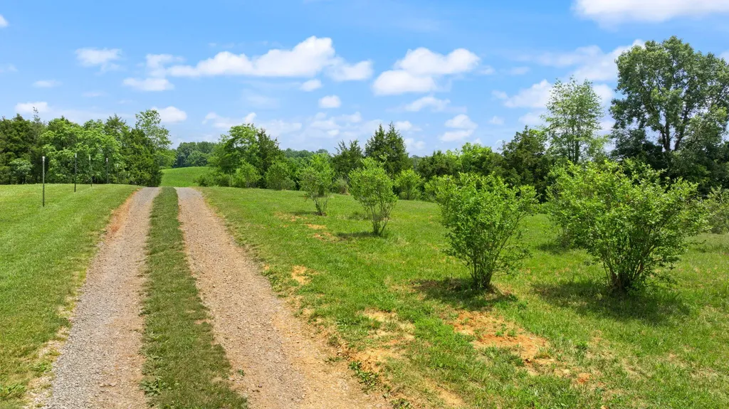 1717 Halltown Road Canmer KY 42722