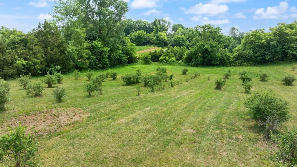 1717 Halltown Road Canmer KY 42722