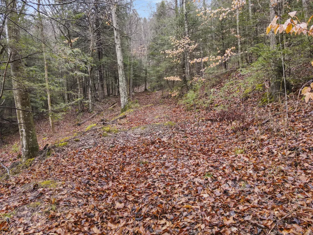 0 0 South Fork Road Stanton KY 40380