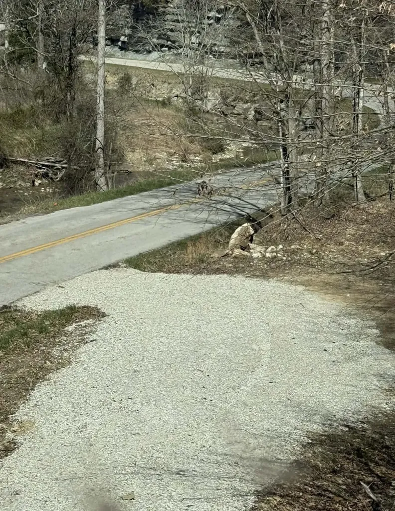 0 0 South Fork Road Stanton KY 40380