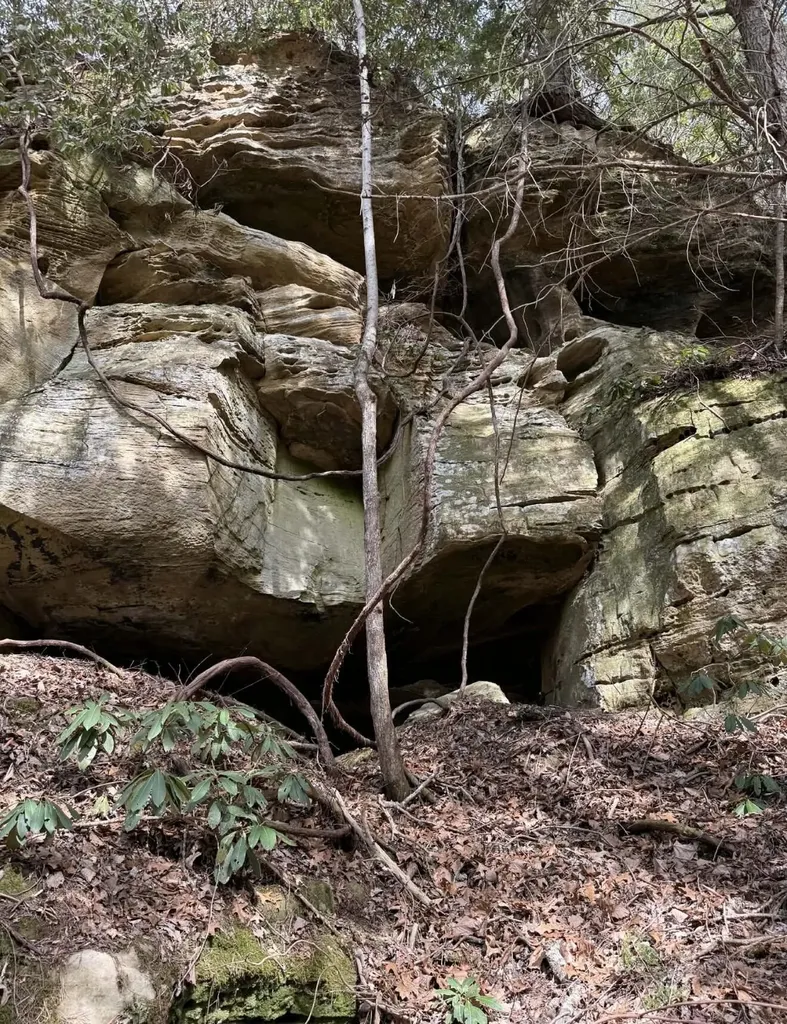 0 0 South Fork Road Stanton KY 40380
