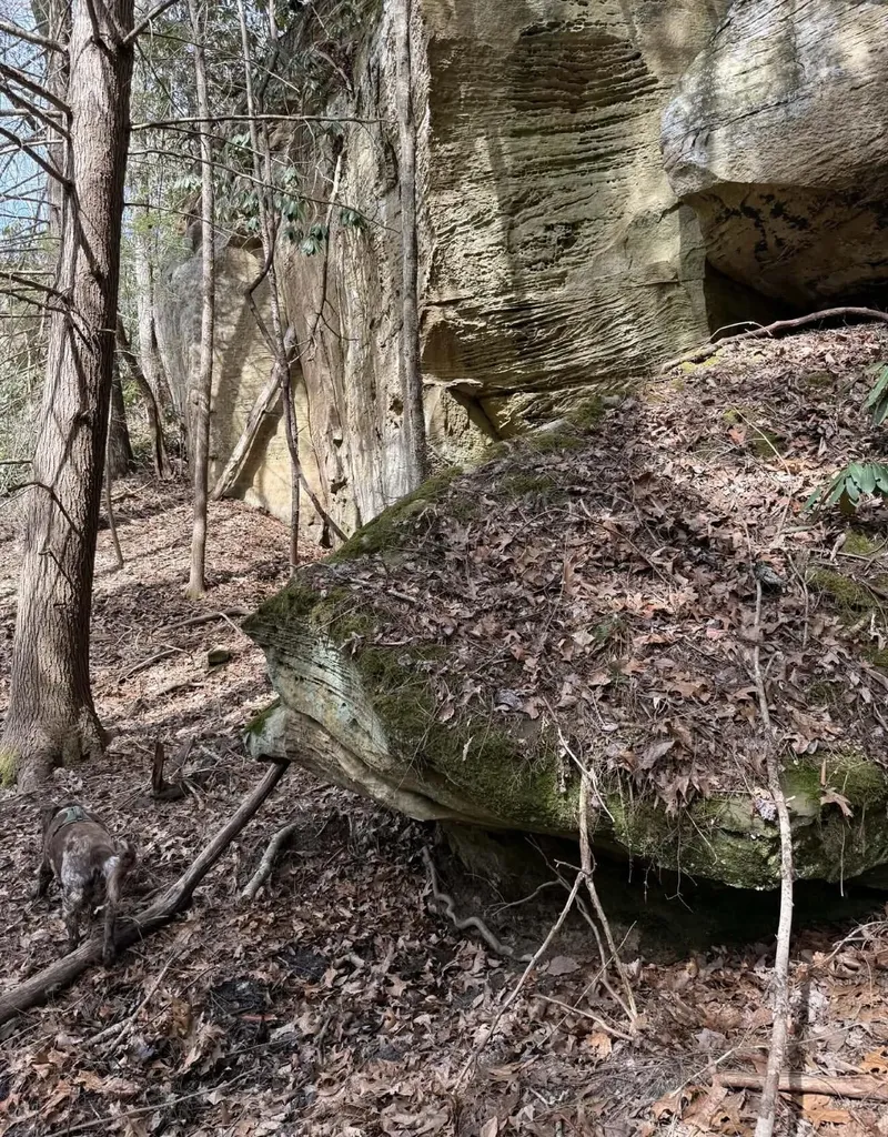 0 0 South Fork Road Stanton KY 40380