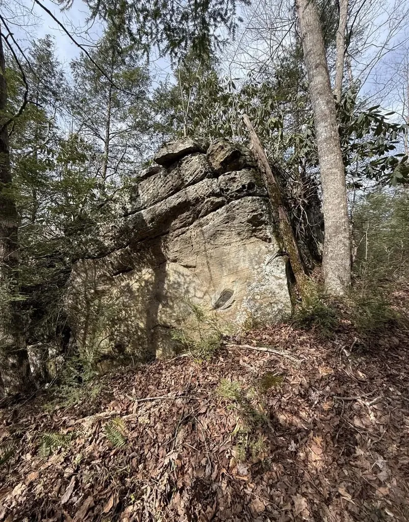 0 0 South Fork Road Stanton KY 40380