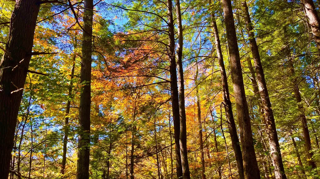 0 0 South Fork Road Stanton KY 40380