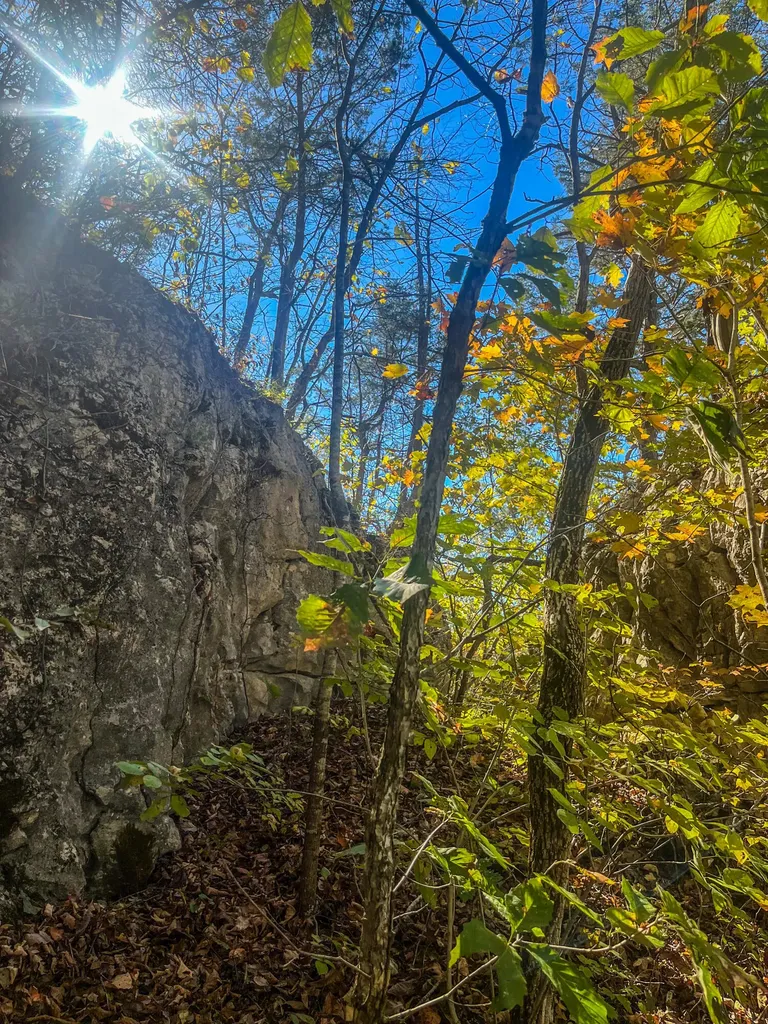 0 0 South Fork Road Stanton KY 40380