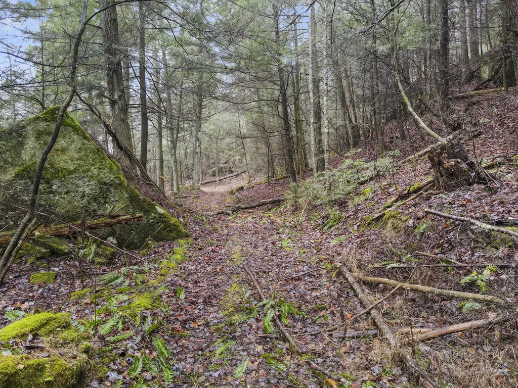 0 0 South Fork Road Stanton KY 40380