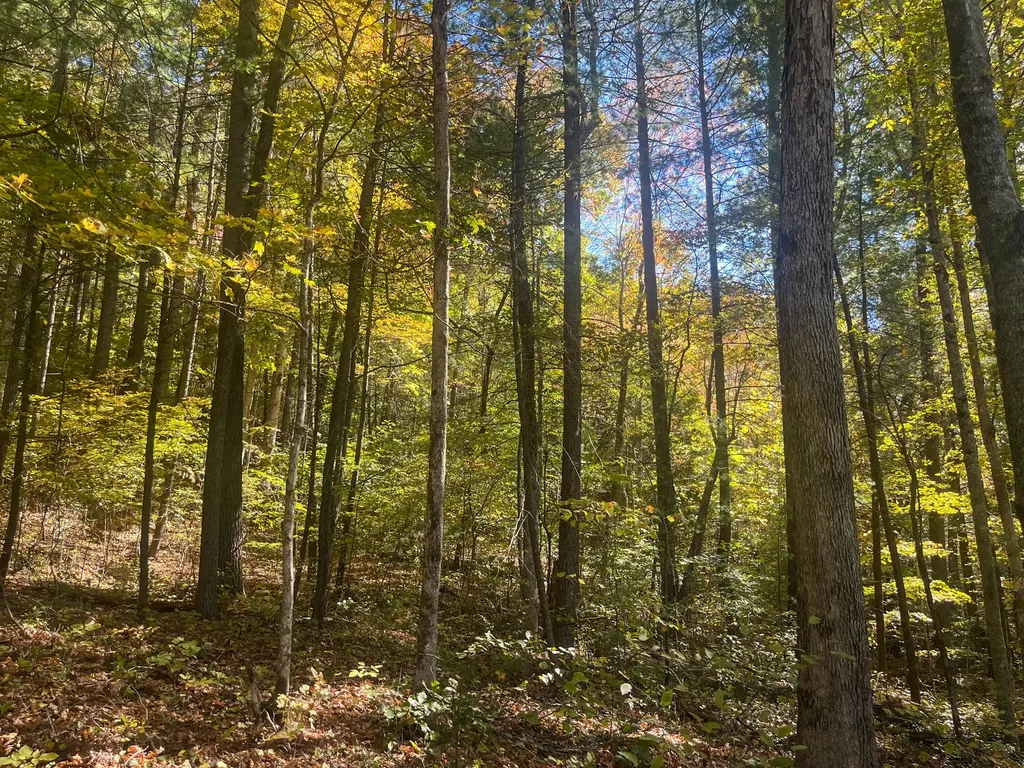 0 0 South Fork Road Stanton KY 40380