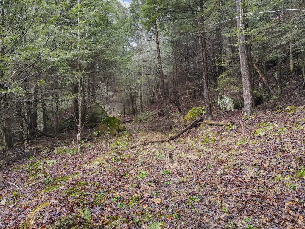0 0 South Fork Road Stanton KY 40380
