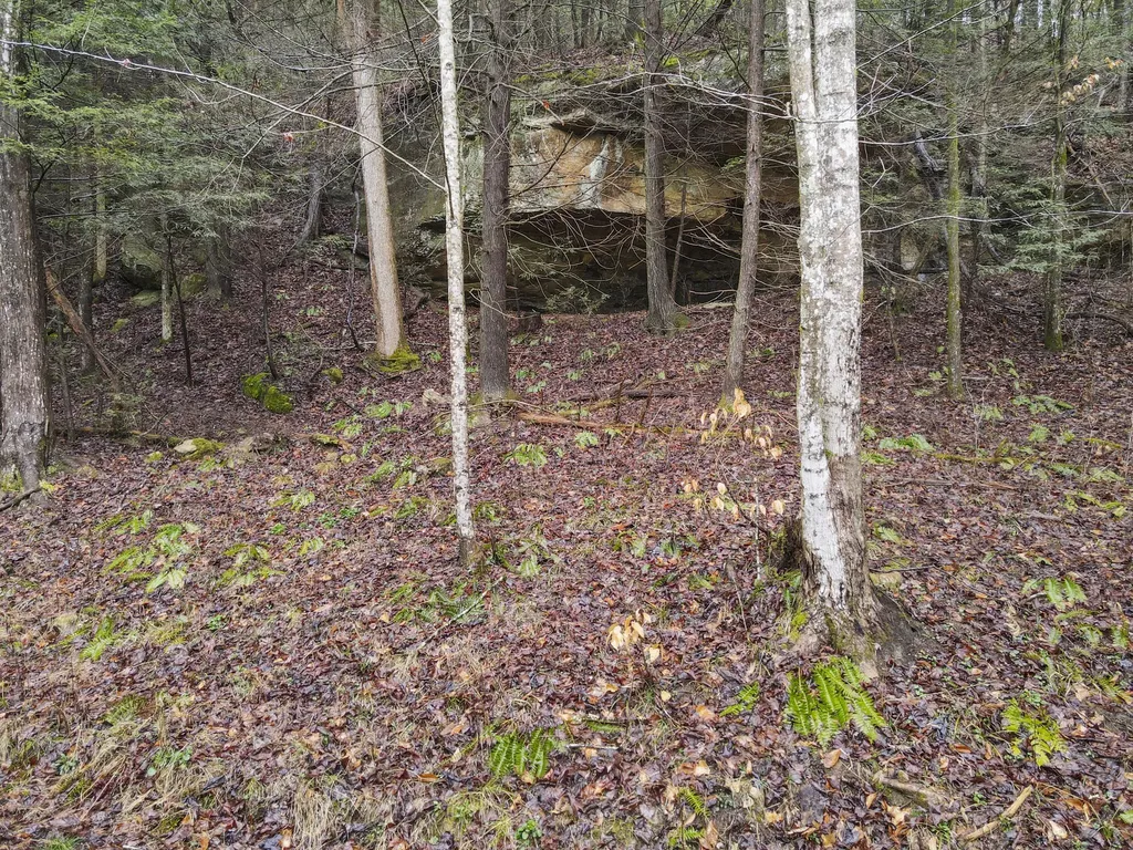0 0 South Fork Road Stanton KY 40380