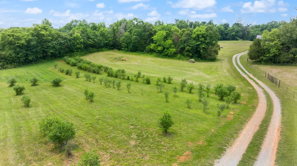 1717 Halltown Road Canmer KY 42722