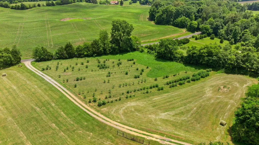 1717 Halltown Road Canmer KY 42722