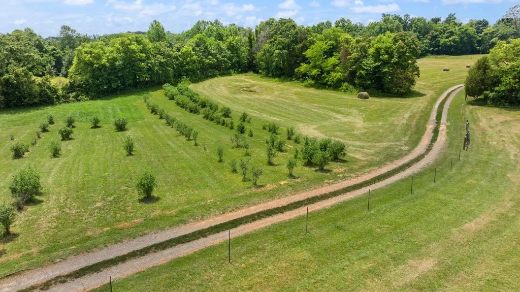 1717 Halltown Road Canmer KY 42722