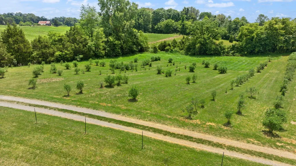 1717 Halltown Road Canmer KY 42722