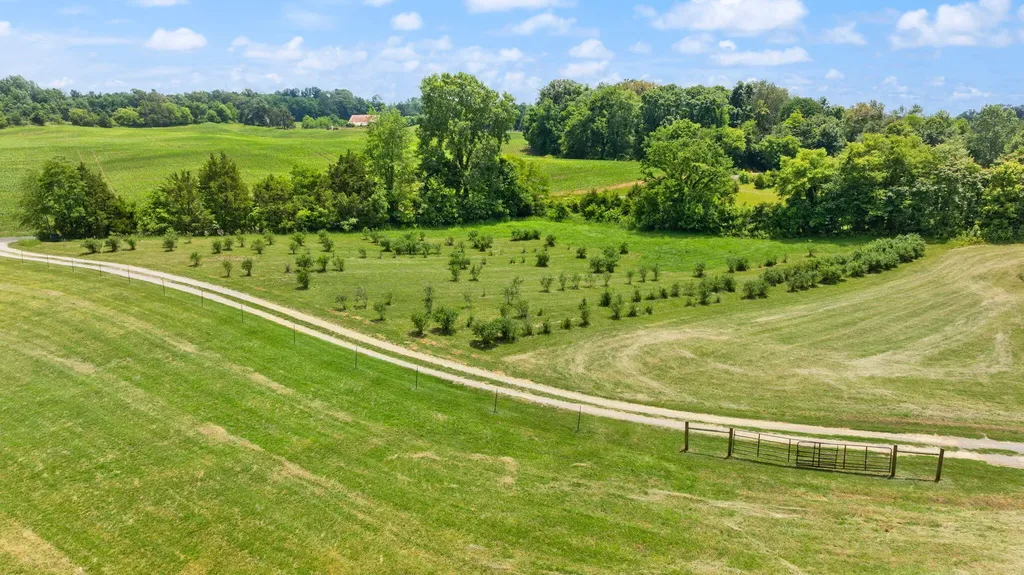 1717 Halltown Road Canmer KY 42722