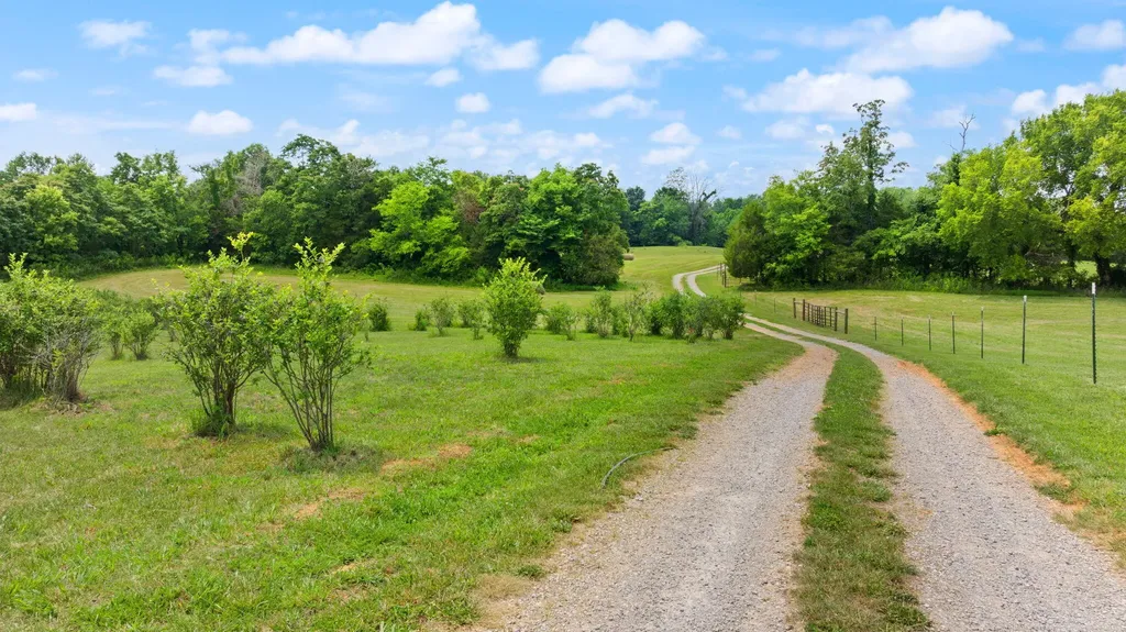 1717 Halltown Road Canmer KY 42722