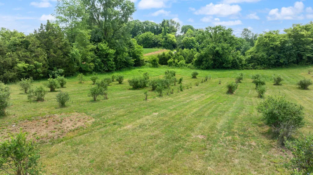 1717 Halltown Road Canmer KY 42722