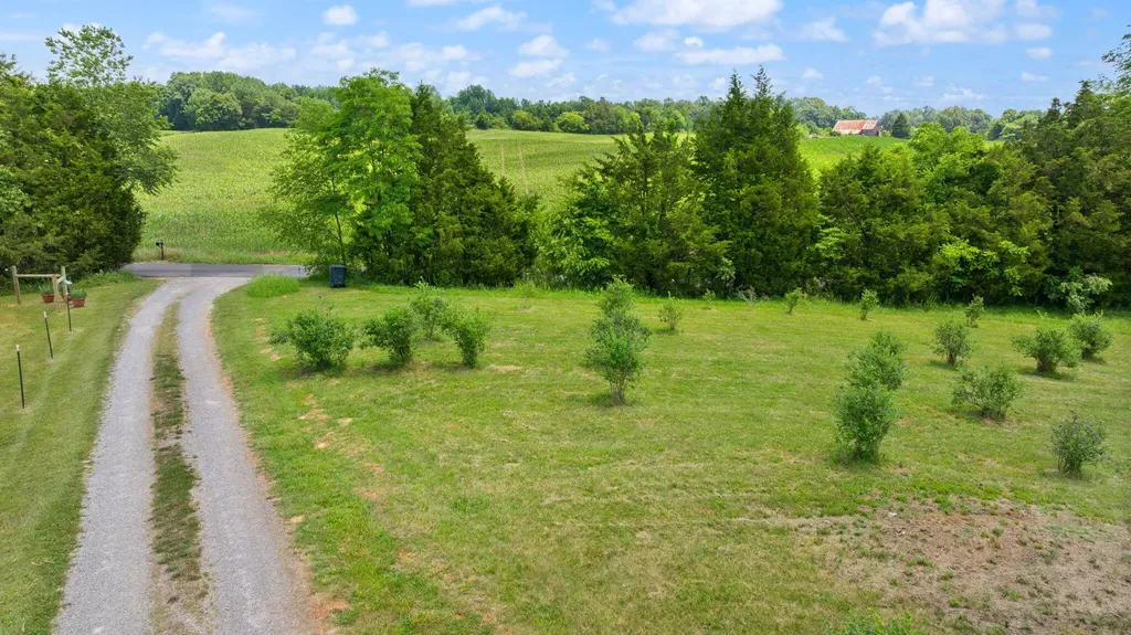 1717 Halltown Road Canmer KY 42722