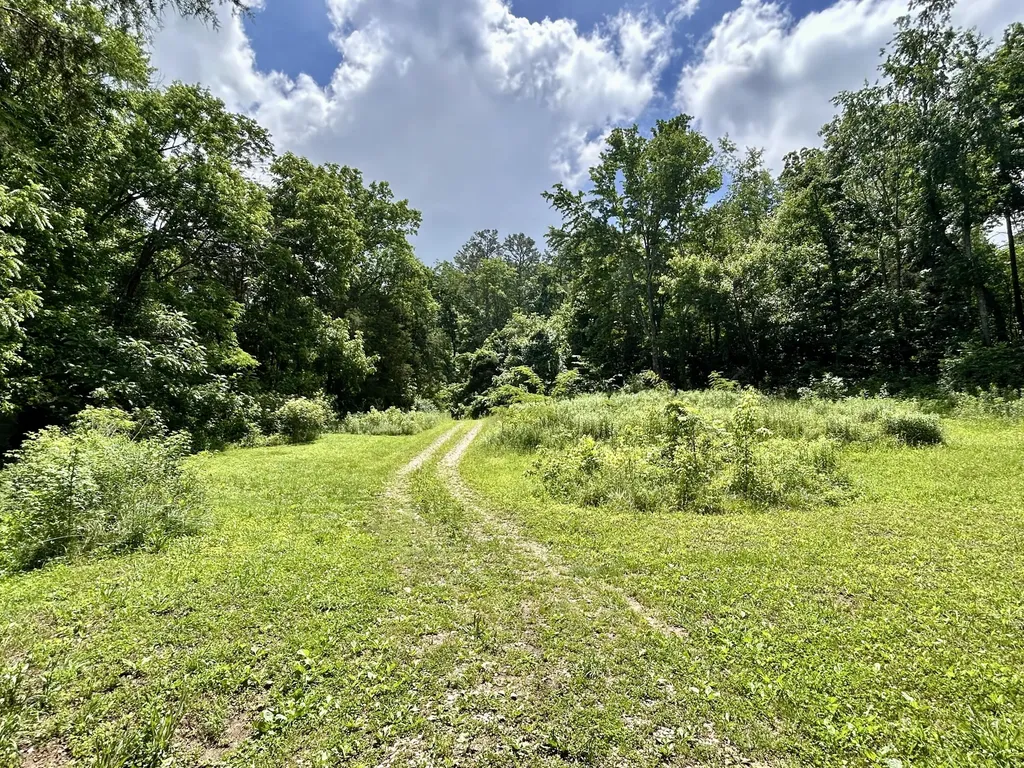 269 Strawberry Road Monticello KY 42633
