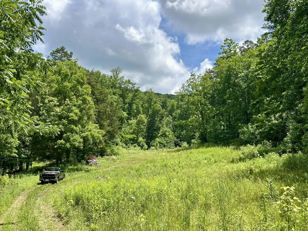 269 Strawberry Road Monticello KY 42633