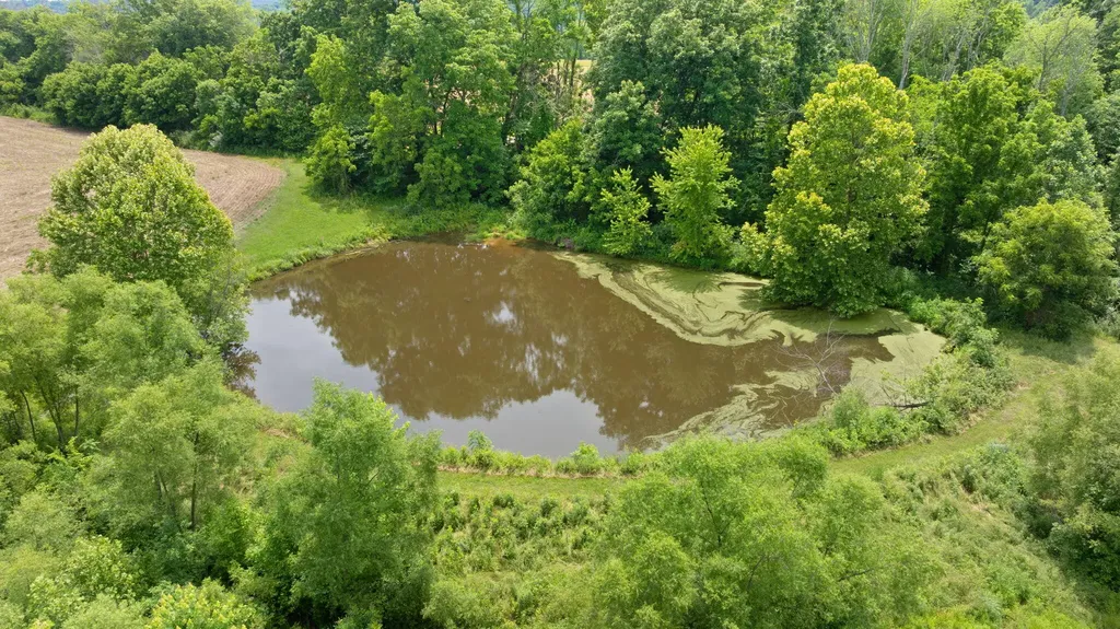 176 Wetland Drive Jamestown KY 42629
